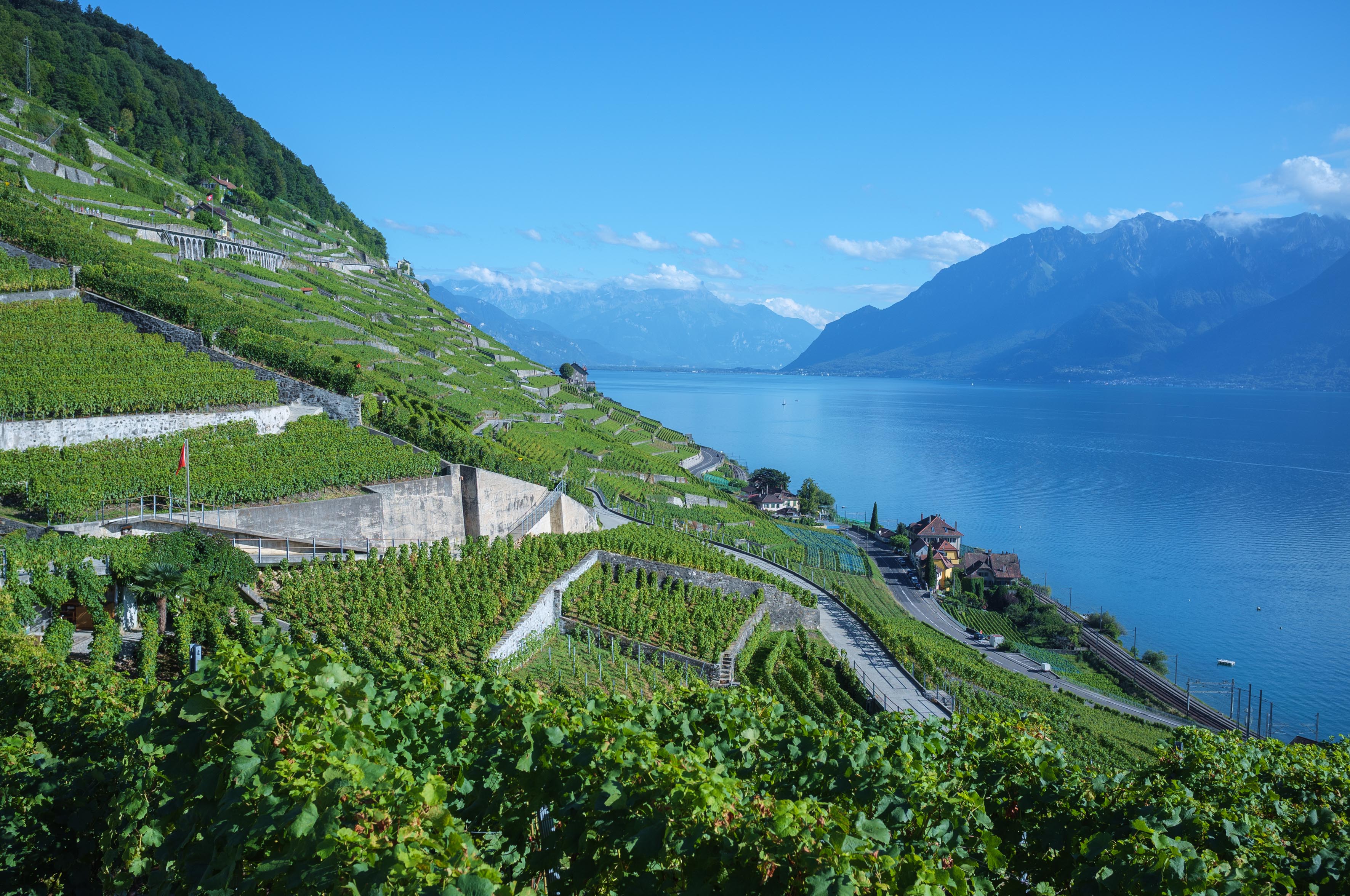 Lavaux